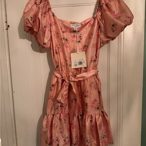 LoveShackFancy X Target Pink Floral Mini Dress